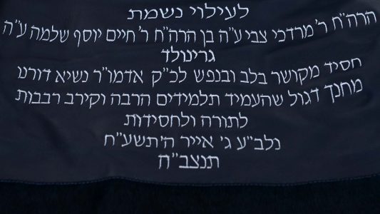 צילום מאיר דהן (3)