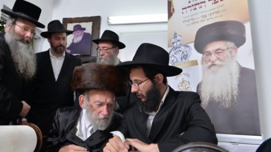 צילום_מאיר_דהן__(201)