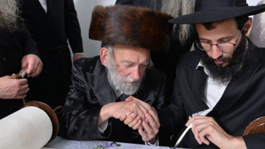 צילום_מאיר_דהן__(204)