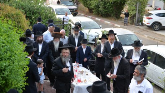 צילום_מאיר_דהן__(242)