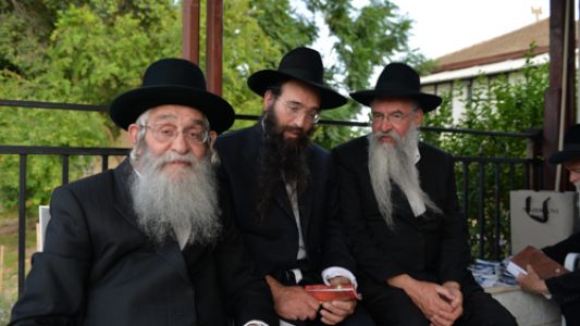 צילום_מאיר_דהן__(245)