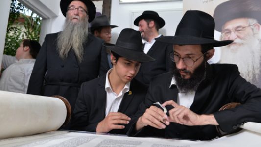 צילום_מאיר_דהן__(267)