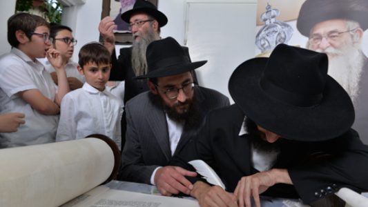 צילום_מאיר_דהן__(304)