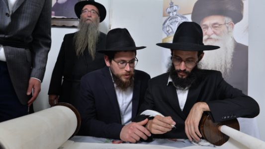 צילום_מאיר_דהן__(306)