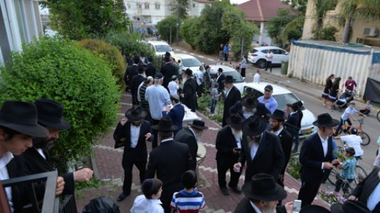צילום_מאיר_דהן__(308)