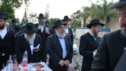 צילום_מאיר_דהן__(313)