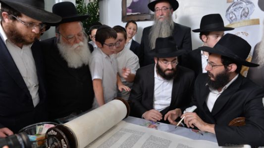צילום_מאיר_דהן__(320)