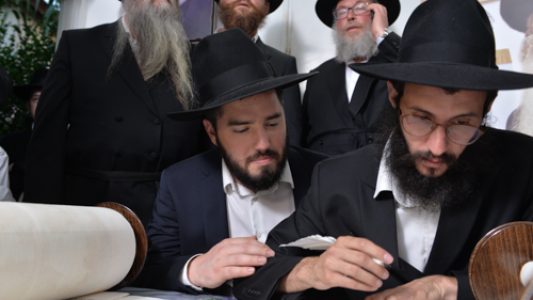 צילום_מאיר_דהן__(345)
