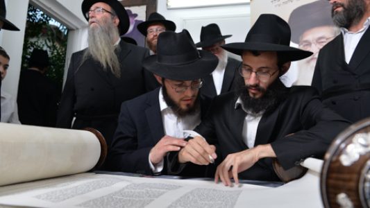 צילום_מאיר_דהן__(350)