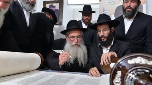 צילום_מאיר_דהן__(373)
