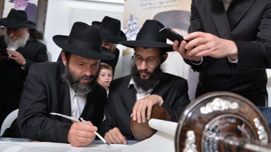 צילום_מאיר_דהן__(377)