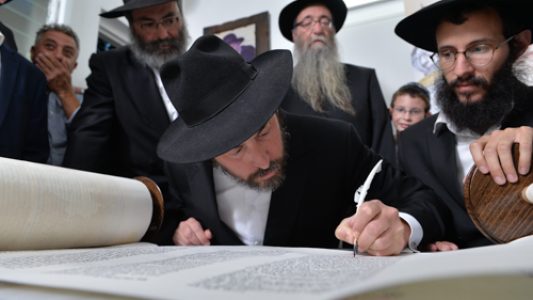 צילום_מאיר_דהן__(438)