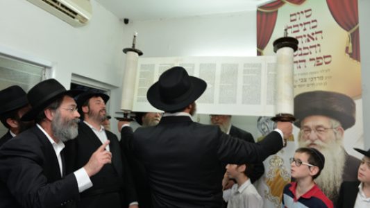 צילום_מאיר_דהן__(483)
