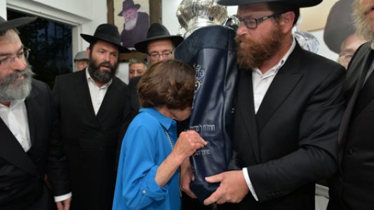 צילום_מאיר_דהן__(553)