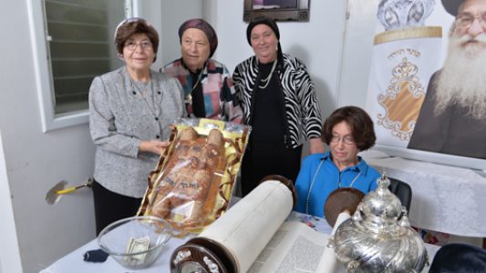 צילום_מאיר_דהן__(56)